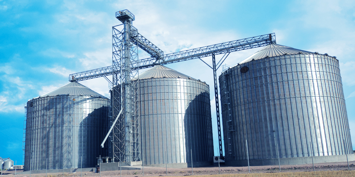 Planta de Alimentos - Proyectos Llave en Mano Construcción Agroindustrial - Grupo Navarro